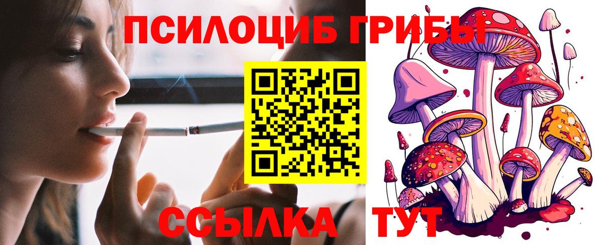 Псилоцибиновые грибы ЛСД Лесозаводск